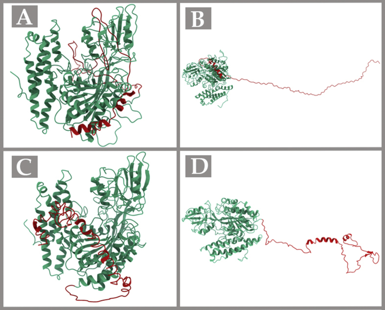 Figure 1