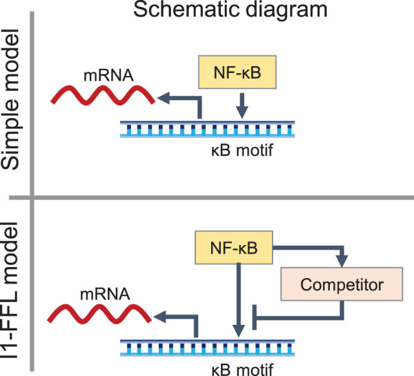 Figure 5.