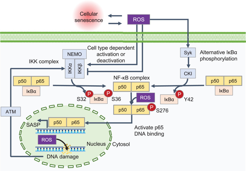 Figure 2.