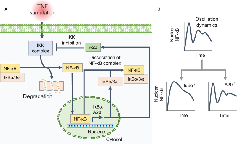 Figure 4.