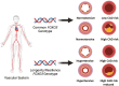 Graphical Abstract