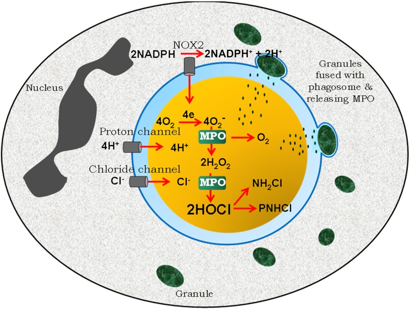 Figure 6.