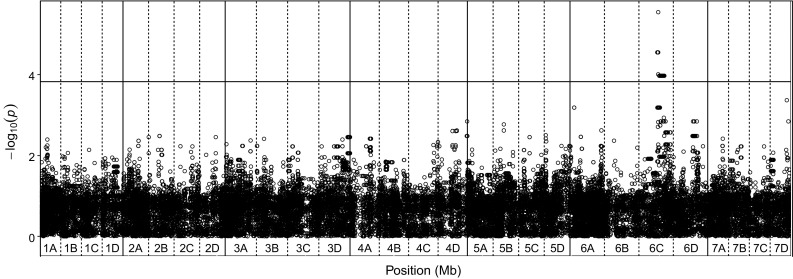 Fig. 6