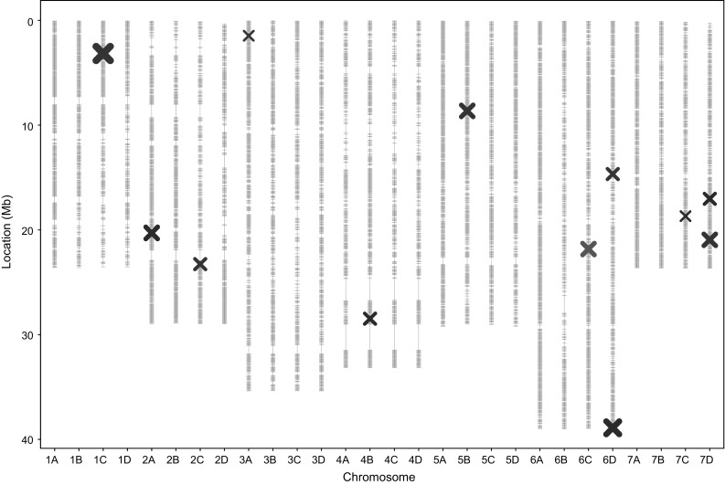 Fig. 5