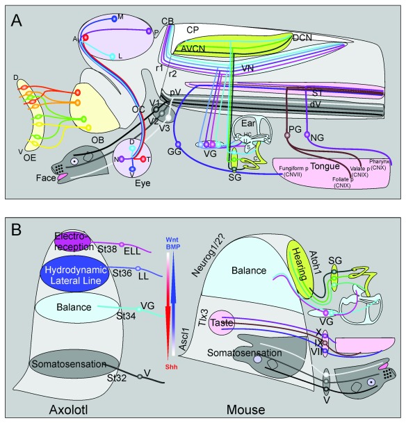 Figure 2. 