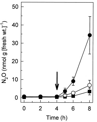 FIG. 4