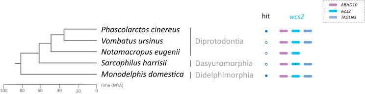 FIG 3