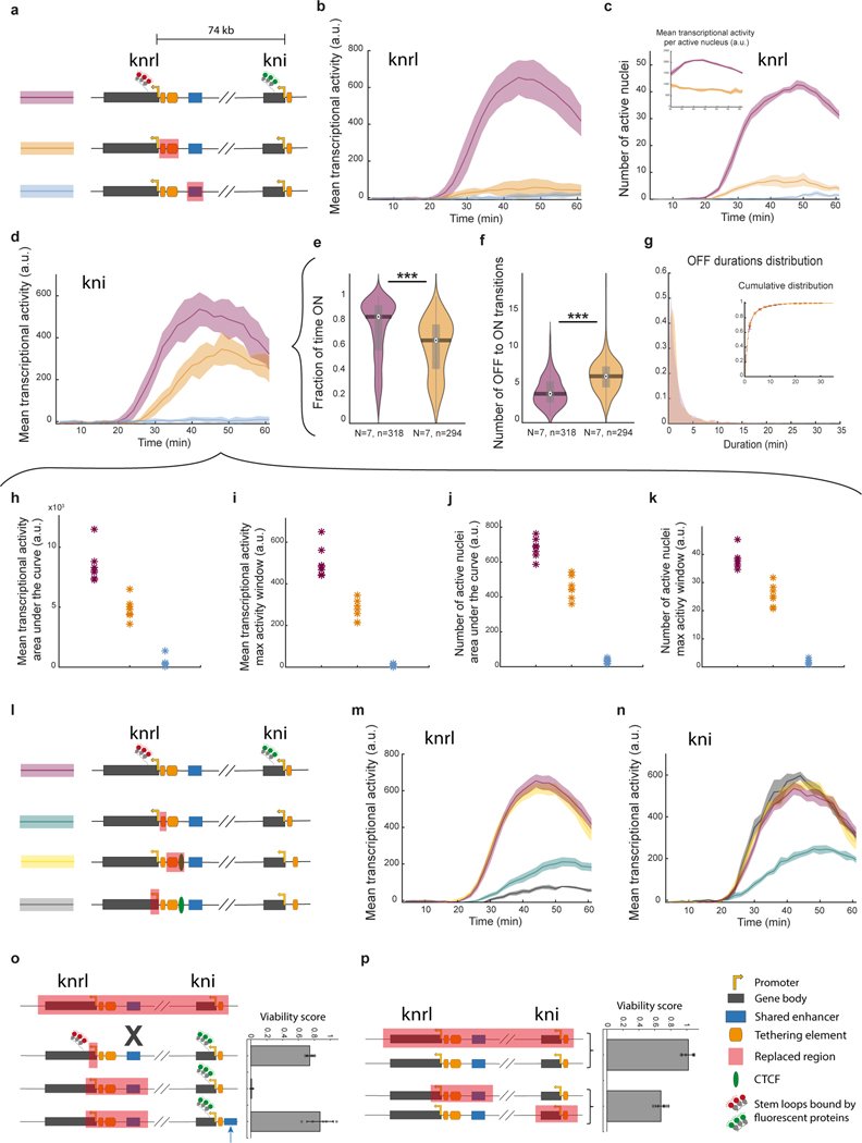 Extended Data Figure 8|