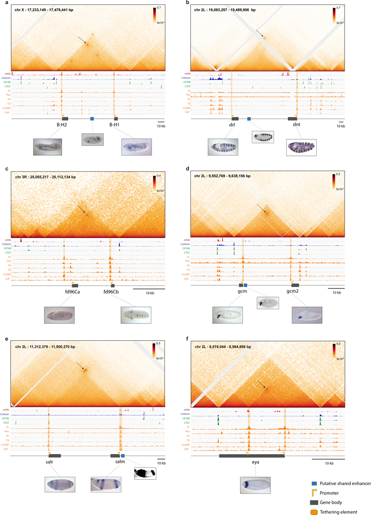 Extended Data Figure 3|