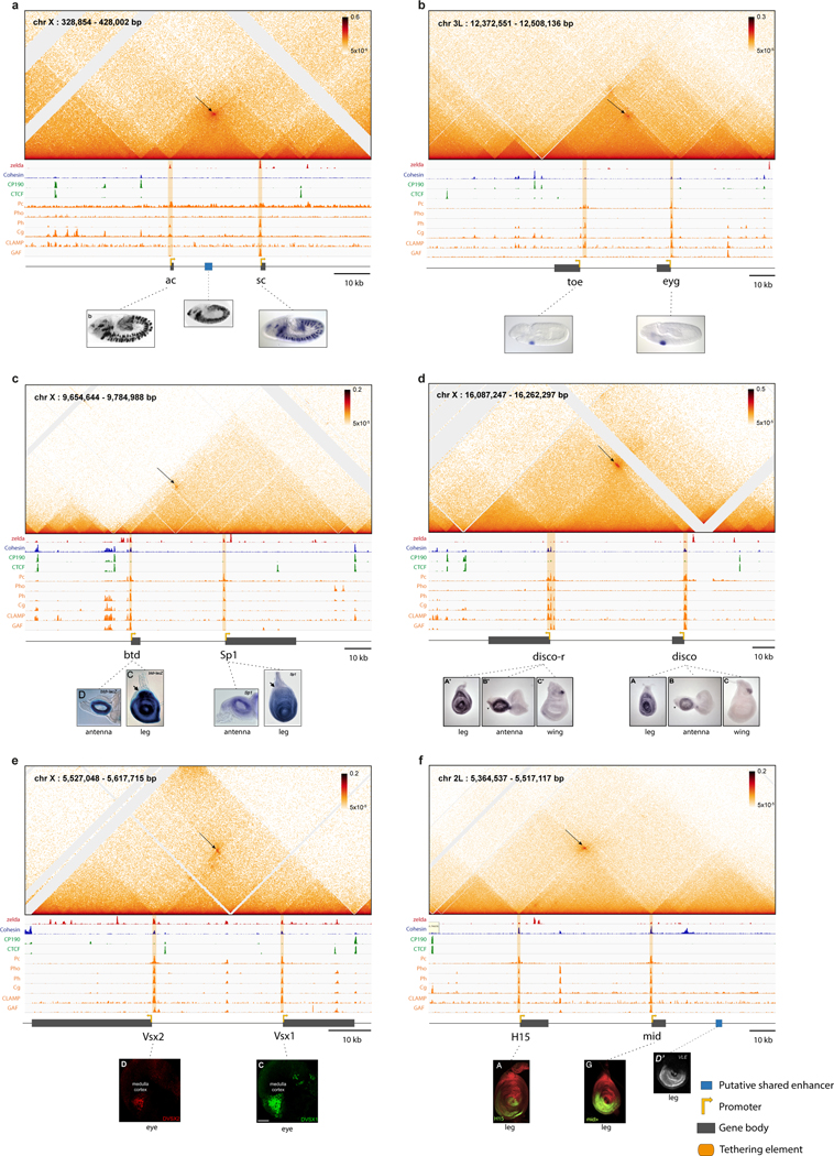 Extended Data Figure 4|