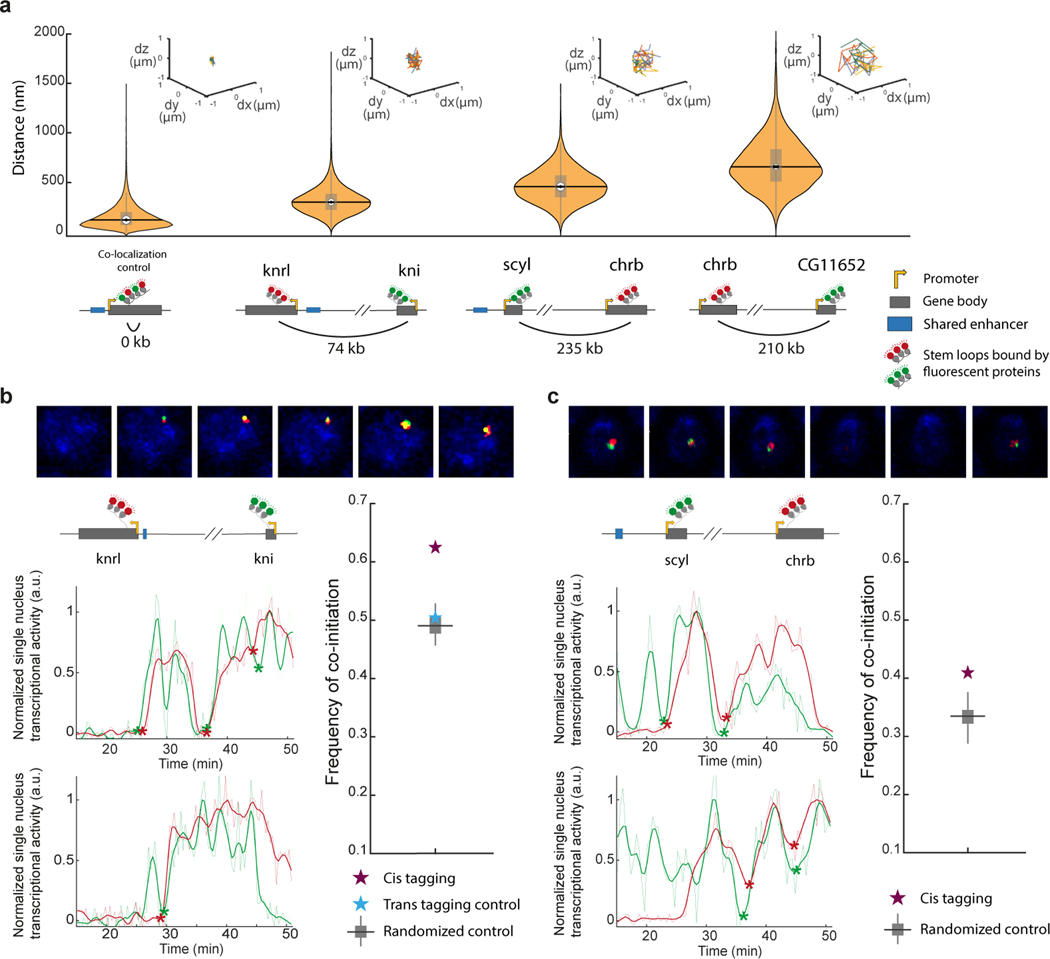 Figure 2|