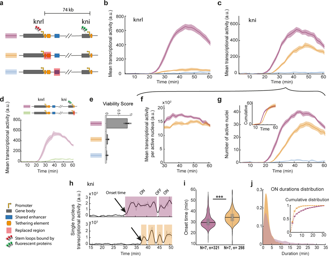 Figure 3|