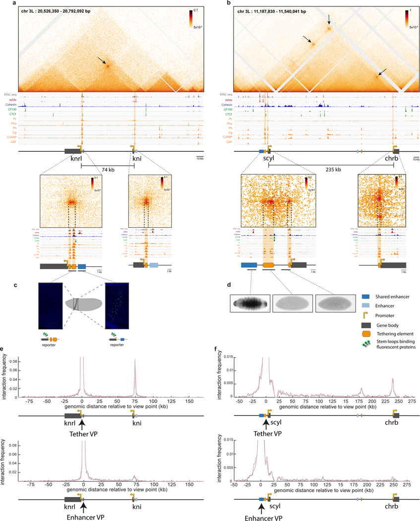 Extended Data Figure 6|