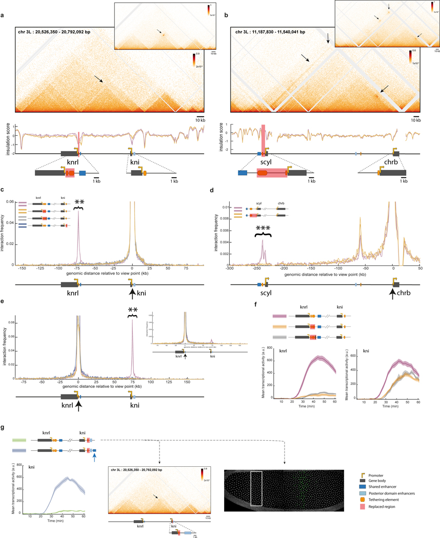 Extended Data Figure 7|