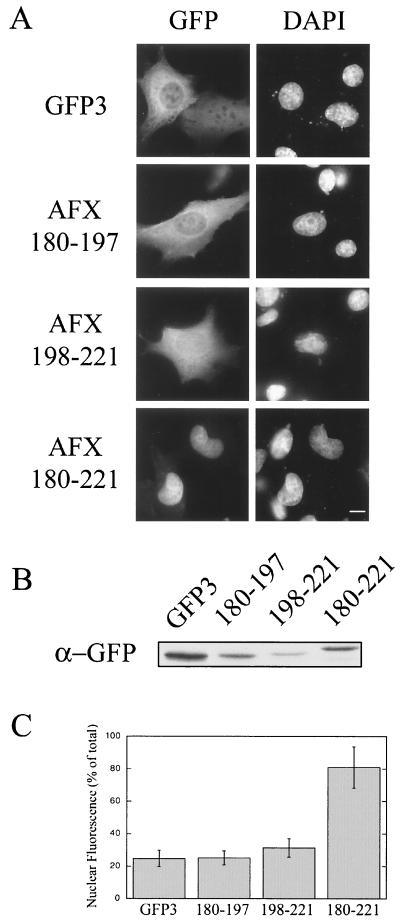 FIG. 5