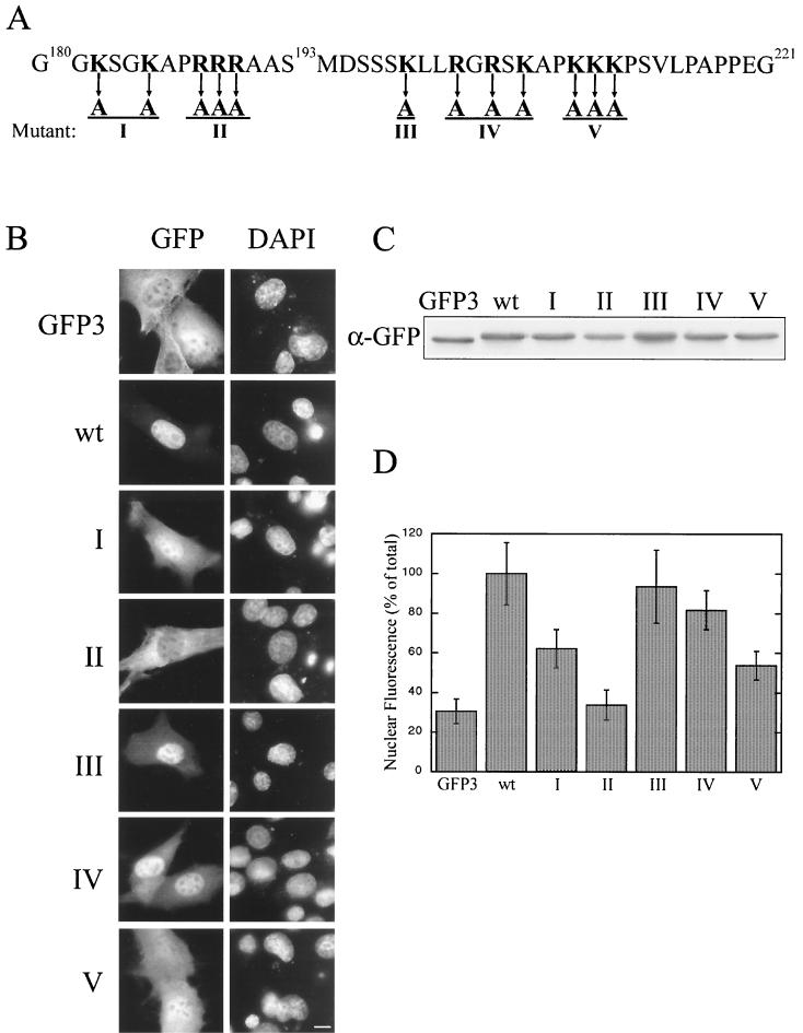 FIG. 6