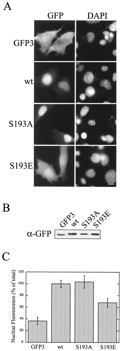 FIG. 7