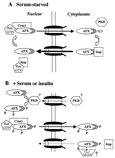 FIG. 8