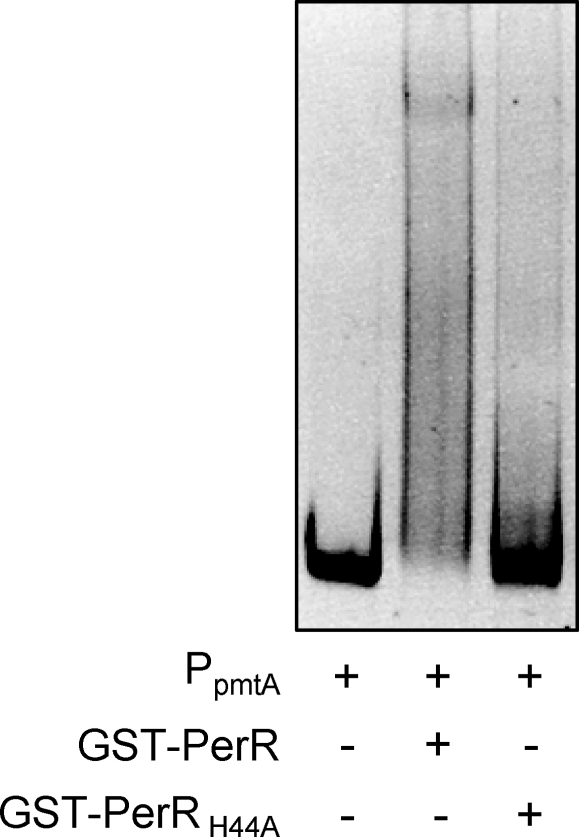 Fig. 8.