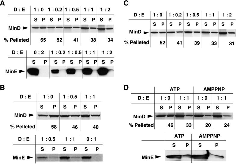 Fig 3.