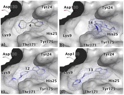 Figure 12