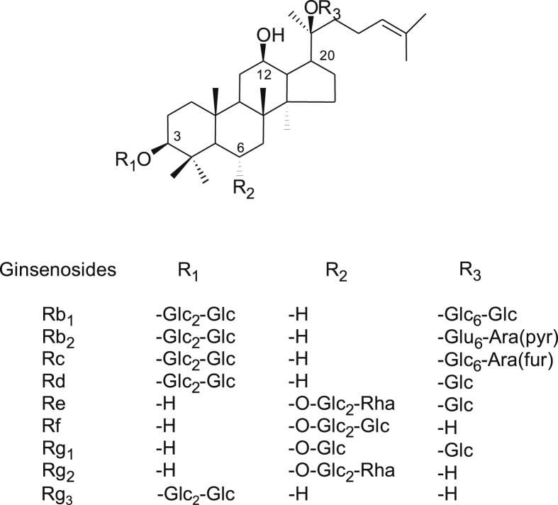 Fig. 1