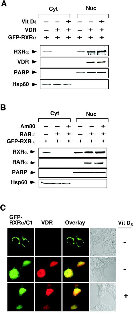 FIG. 8.