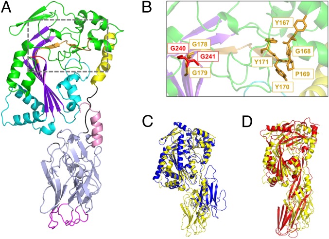 Fig. 1.