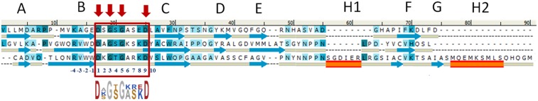 Fig. 3.