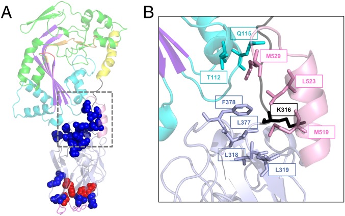 Fig. 7.