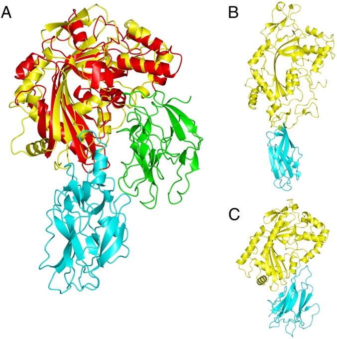 Fig. 5.