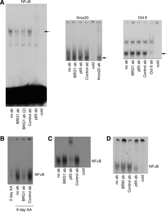 Figure 5.