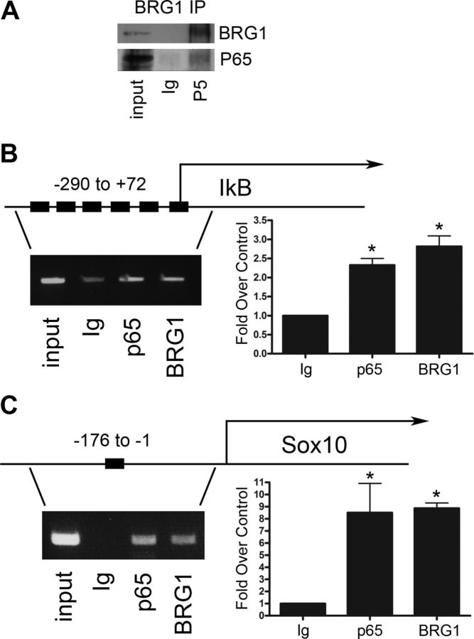 Figure 6.