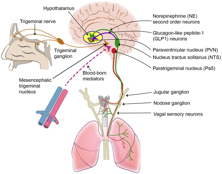 Figure 1.