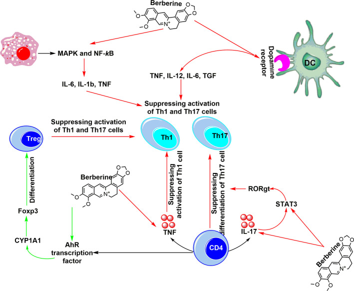 FIGURE 3