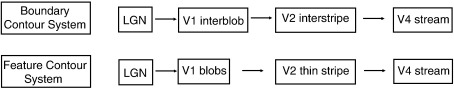 Fig. 5