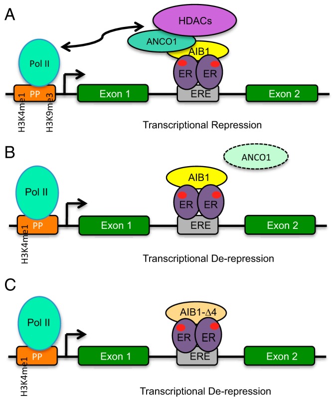 Figure 9.