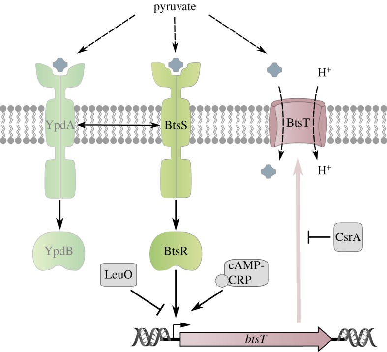 Figure 4.