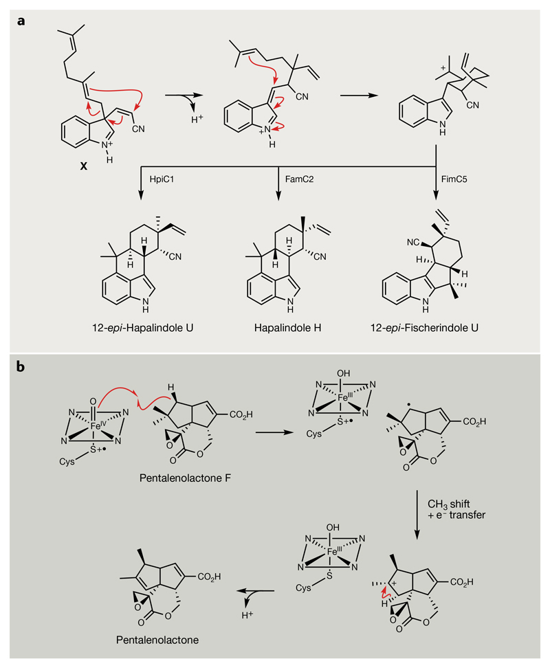 Fig. 7