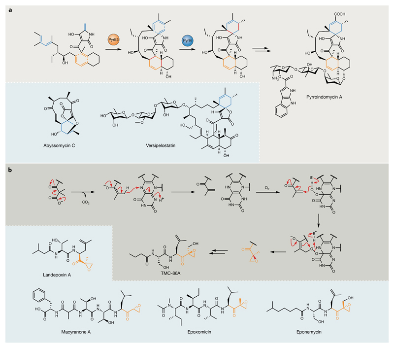 Fig. 4