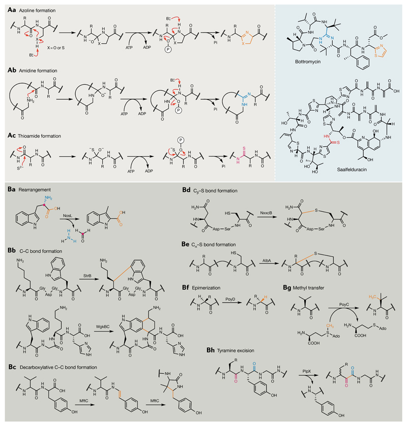 Fig. 8