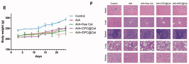 Figure 11.