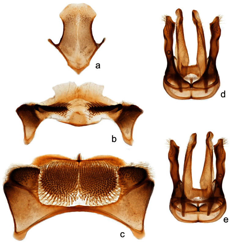 Figure 7.