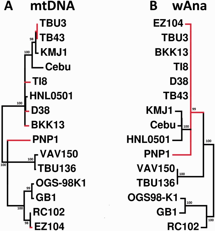 Fig. 6.—