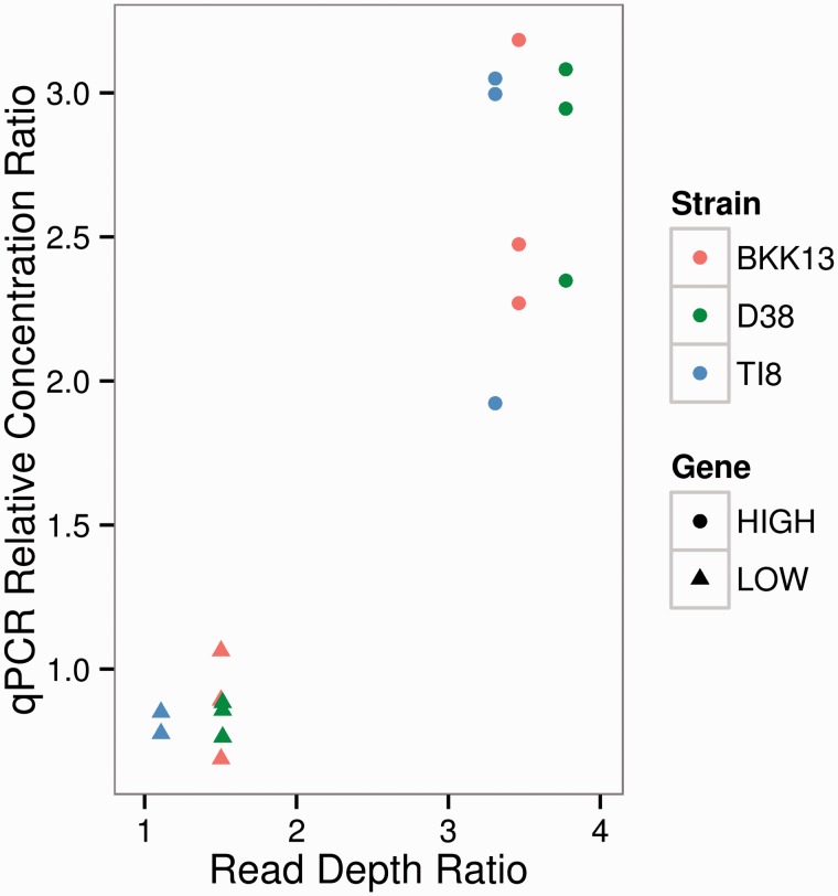 Fig. 4.—