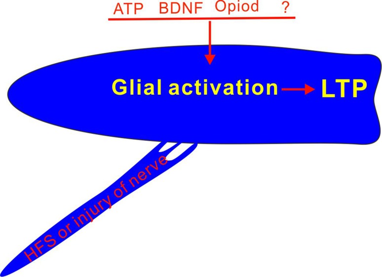 Fig. 2