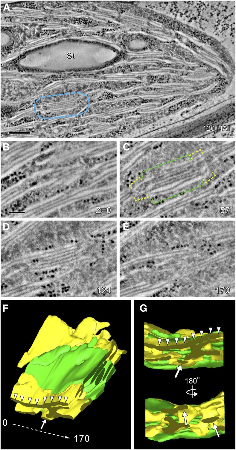 Figure 5.