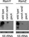 FIG. 5.