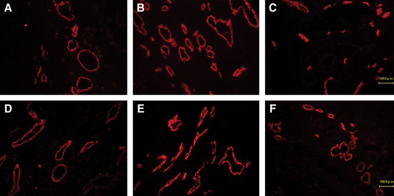 Fig. 9.