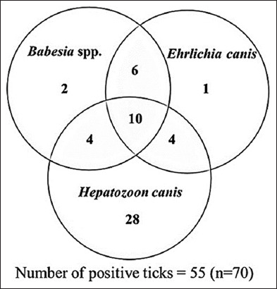 Figure-3